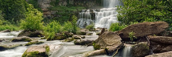 Stany Zjednoczone, Chittenango Falls, Rzeka, Wodospad, Skały, Nowy Jork, Drzewa