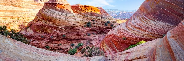 Skały, The Wave, Formacja, Stany Zjednoczone, Arizona