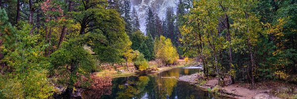 Half Dome, Szczyt, Park Narodowy Yosemite, Kalifornia, Stany Zjednoczone, Drzewa, Merced River, Góry, Rzeka