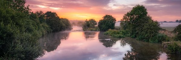 Chmury, Drzewa, Mgła, Anglia, River Stour, Rzeka