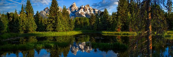 Rzeka, Grand Teton, Park Narodowy Grand Teton, Wyoming, Stany Zjednoczone, Wschód słońca, Drzewa, Góry, Snake River