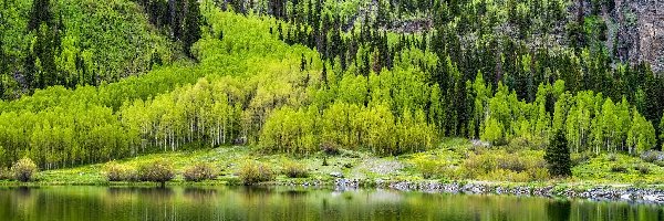 Drzewa, Kolorado, Stany Zjednoczone, Góry, Crystal Lake, Jezioro