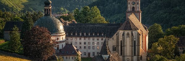 Munstertal, Drzewa, Góry, Niemcy, Opactwo św Trudperta, Klasztor