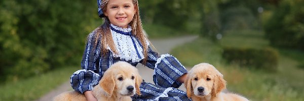 Golden retriever, Szczeniaki, Dziewczynka