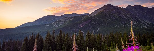 Góry, Polska, Tatry, Zachód słońca