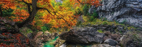 Skały, Huesca, Liście, Jesień, Drzewa, Las, Rzeka, Hiszpania, Park Narodowy de Ordesa y Monte Perdido, Kaskada