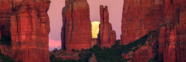 Arizona, Sedona, Krzewy, Skały, Czerwone, Wschód słońca, Księżyc, Cathedral Rocks, Stany Zjednoczone