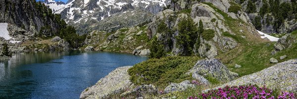 Jezioro, Hiszpania, Kwiaty, Pireneje, Niebo, Park Narodowy de Aiguestortes i Estany de Sant Maurici, Skały, Drzewa, Góry, Katalonia, Trawa