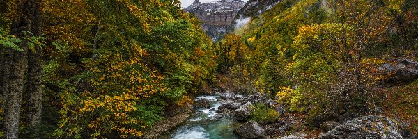 Las, Park Narodowy de Ordesa y Monte Perdido, Valle de Ordesa, Liście, Kamienie, Niebo, Jesień, Strumień, Skały, Góry, Drzewa, Hiszpania