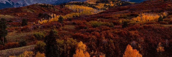 Jesień, San Juan Mountains, Kolorado, Góry, Niebo, Chmury, Dallas Divide, Wzgórza, Las, Zachód słońca, Drzewa, Stany Zjednoczone