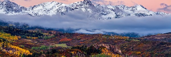 Lasy, Jesień, Pożółkłe, Kolorado, Chmury, Szczyt, Góry Skaliste, Mgła, Mount Sneffels, Stany Zjednoczone, Drzewa