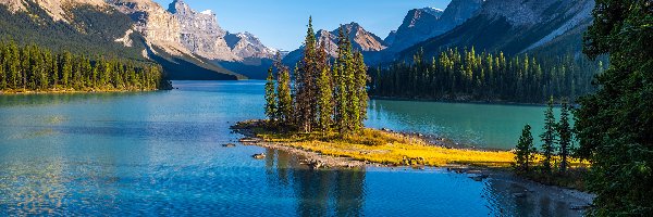 Drzewa, Park Narodowy Jasper, Jezioro Maligne, Alberta, Kanada, Góry, Wyspa Ducha
