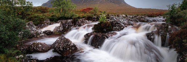 Rzeka, Chmury, Góra, Region Highlands, Szkocja, Paprocie, Drzewa, Buachaille Etive Mór, Kamienie