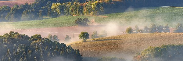 Wzgórza, Mgła, Pola, Drzewa