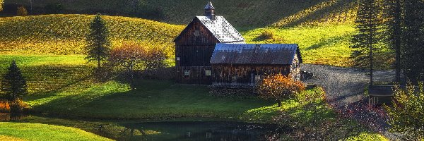 Drzewa, Pola, Staw, Droga, Domy, Jesień