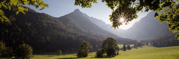 Hochschwabgruppe, Styria, Promienie słońca, Drzewa, Góry, Alpy wapienne, Polana, Austria