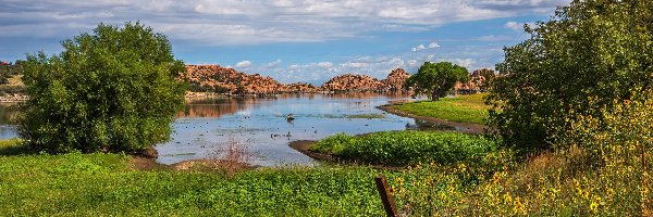 Skały, Watson Lake, Stany Zjednoczone, Arizona, Chmury, Drzewa, Łąka, Jezioro