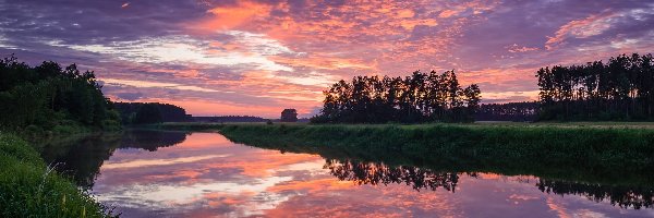 Trawa, Narew, Polska, Drzewa, Niebo, Zachód słońca, Chmury, Rzeka, Kolorowe, Odbicie