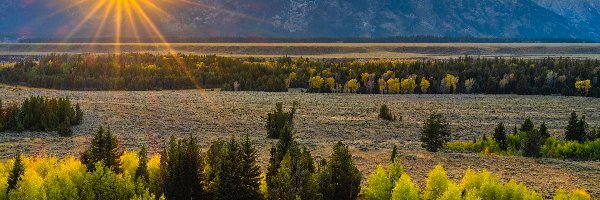Góry, Park Narodowy Grand Teton, Promienie słońca, Drzewa, Wyoming, Stany Zjednoczone