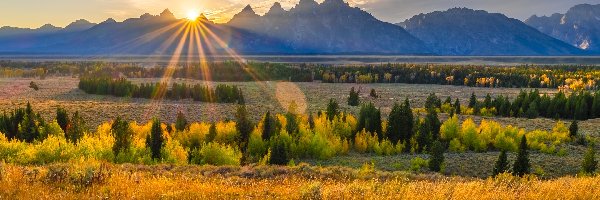 Promienie słońca, Drzewa, Teton Range, Góry, Park Narodowy Grand Teton, Stany Zjednoczone, Stan Wyoming, Pole, Chmury