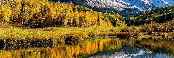 Las, Góry, Drzewa, Góra, Stany Zjednoczone, Mount Sneffels, Blue Lake, Stan Kolorado, Jezioro, San Juan Mountains, Jesień