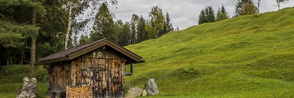 Łąka, Drzewa, Wzgórze, Chmury, Domek