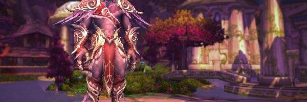 World of Warcraft Dragonflight, Gra, Postać