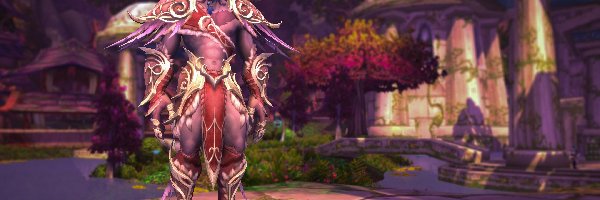 World of Warcraft Dragonflight, Gra, Postać