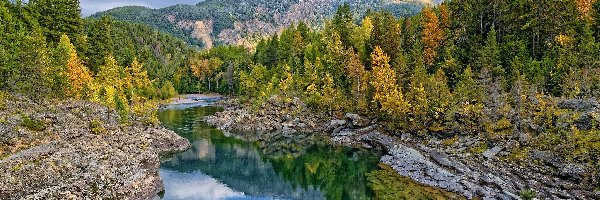 Drzewa, Stan Montana, Chmury, Las, Góry, Rzeka, Flathead River, Stany Zjednoczone, Park Narodowy Glacier, Jesień