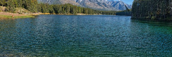 Góry, Las, Kamienie, Johnson Lake, Jezioro, Kanada, Alberta, Drzewa, Fairholme Range