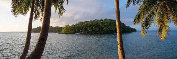 Ocean, Palmy, Wyspa św Józefa, Gujana Francuska Ameryka południowa, Wschód słońca