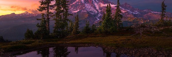 Góry, Niebo, Mount Rainier, Waszyngton, Stany Zjednoczone, Zachód słońca, Kamienie, Las, Drzewa