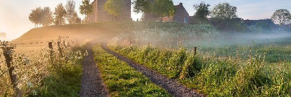 Holandia, Mgła, Domy, Droga, Pola, Ezinge, Wioska