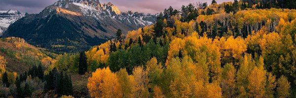 Las, Góry, Mount Sneffels, Kolorado, Stany Zjednoczone, Niebo, Chmury, Jesień, Drzewa