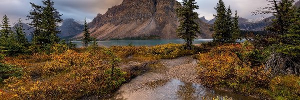 Drzewa, Bow Lake, Crowfoot Mountain, Góra, Góry, Kanada, Park Narodowy Banff, Jezioro, Roślinność