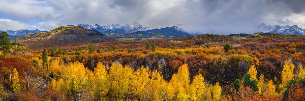 Chmury, San Juan Mountains, Stany Zjednoczone, Drzewa, Dallas Divide, Las, Jesień, Góry, Przełęcz, Kolorado