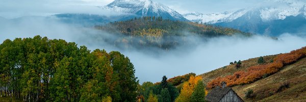 Droga, Stany Zjednoczone, Drzewa, Telluride, Niebo, San Juan Mountains, Mgła, Dom, Góry, Kolorado, Ogrodzenie