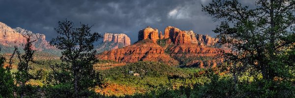 Skały, Arizona, Kaktusy, Chmury, Sedona, Cathedral Rock, Drzewa, Stany Zjednoczone