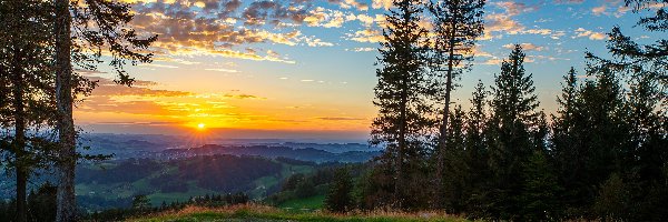 Drzewa, Wzgórze, Zachód słońca, Obłoki, Las, Dolina, Niebo, Polana