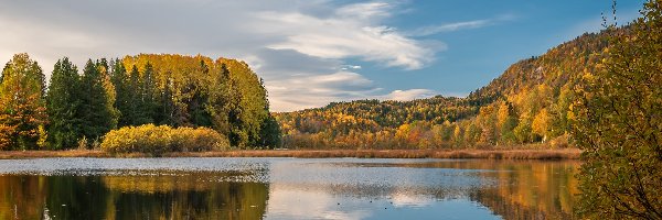 Drzewa, Semsvannet, Las, Jesień, Jezioro, Norwegia