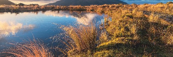 Park Narodowy Egmont, Góra, Odbicie, Chmury, Taranaki, Staw Pouakai, Trawa, Nowa Zelandia