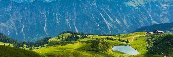 Polana, Bawaria, Zieleń, Jezioro, Góry, Las, Drzewa, Niemcy, Alpy Bawarskie, Wzgórza