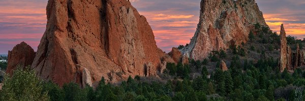 Skały, Garden of the Gods, Góry, Drzewa, Kolorado, Stany Zjednoczone