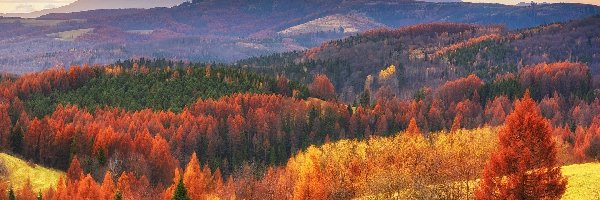 Chmury, Drzewa, Jesień, Słowacja, Las, Góry Lewockie