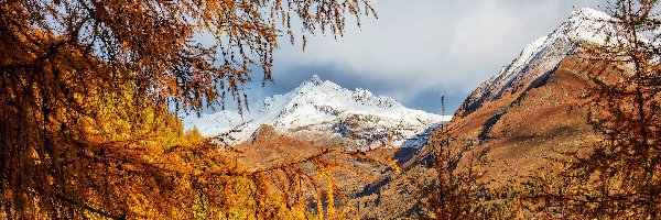 Góry, Jesień, Ośnieżone, Modrzewie, Drzewa