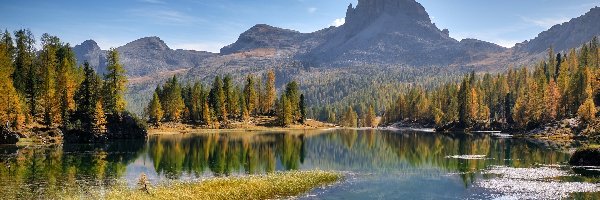 Lago Federa, Jezioro, Góry, Prowincja Belluno, Włochy, Odbicie, Jesień, Dolomity, Drzewa