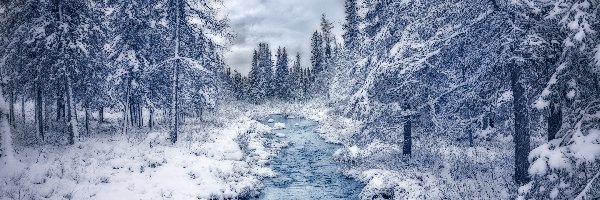 Śnieg, Rzeka, Drzewa, Chmury, Las, Zima