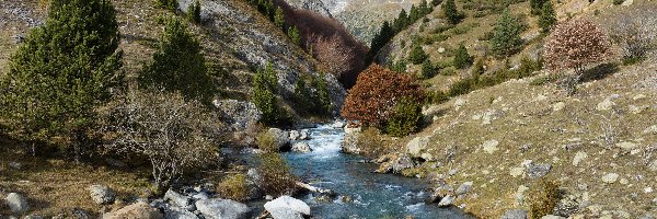 Rio Ara, Aragonia, Drzewa, Rzeka, Góry, Pireneje, Niebo, Hiszpania, Bujaruelo Valley, Kamienie