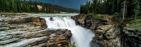 Athabasca Falls, Wodospad, Athabasca River, Rzeka, Park Narodowy Jasper, Kanada, Chmury, Skały, Drzewa