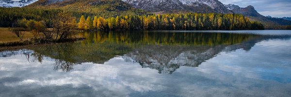 Las, Silsersee, Góry, Dolina Engadyna, Szwajcaria, Odbicie, Chmury, Jezioro, Drzewa